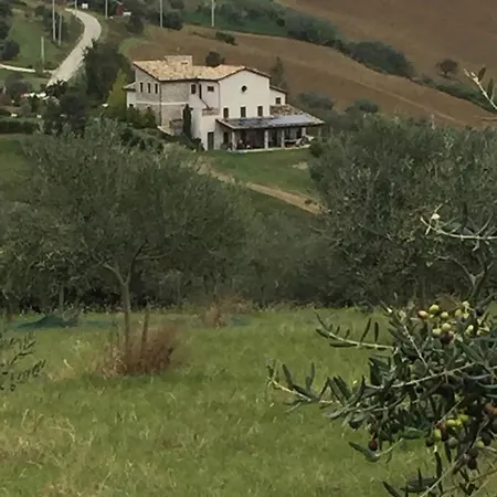 Cignale Della Societa Agricola Cignale Srl