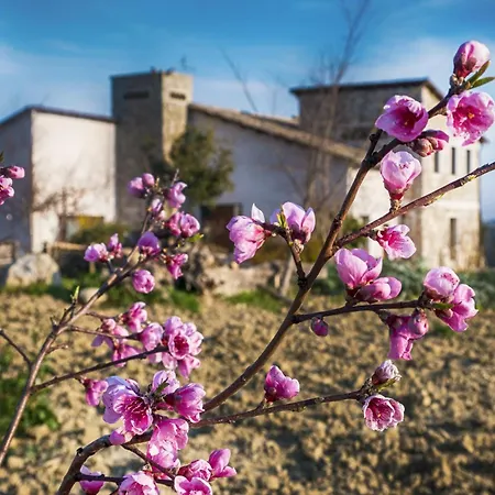 Cignale Della Societa Agricola Cignale Srl Penne