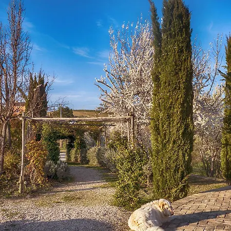 Cignale 팜스테이 *