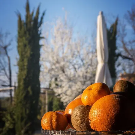 Cignale 팜스테이 펜네