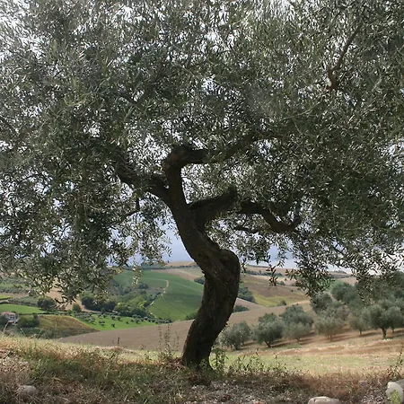 Κατάλυμα σε φάρμα Cignale Della Societa Agricola Cignale Srl