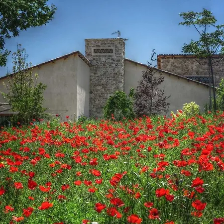 Alloggio per agriturismo Cignale