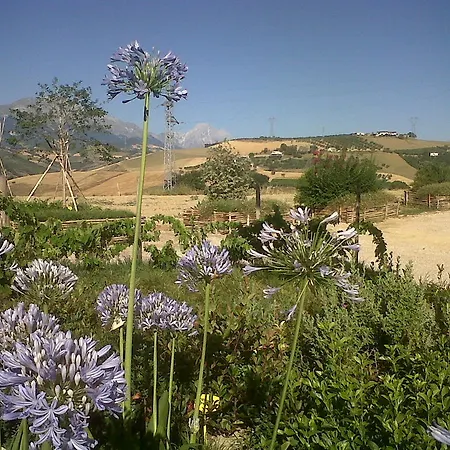 Gospodarstwo agroturystyczne Cignale Penne