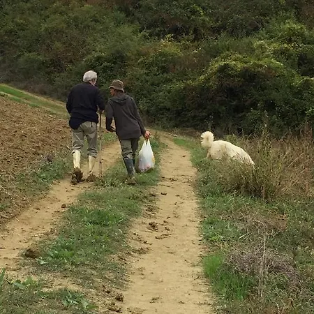 팜스테이 Cignale