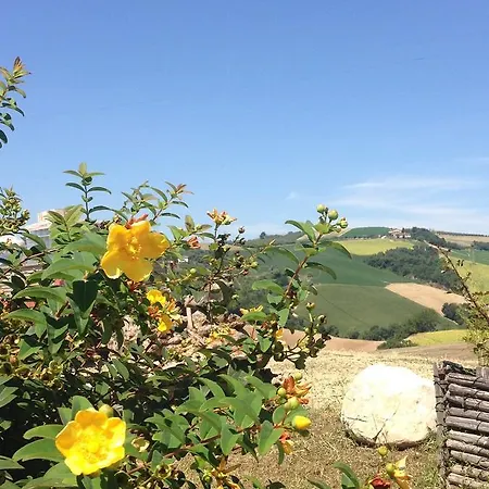 Cignale Farm stay