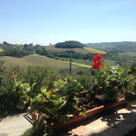 Cignale * Penne