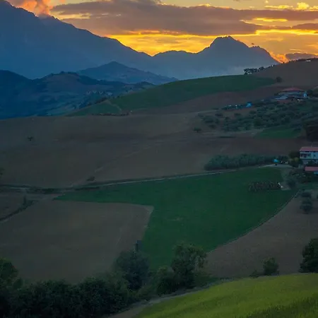 Cignale Della Societa Agricola Cignale Srl