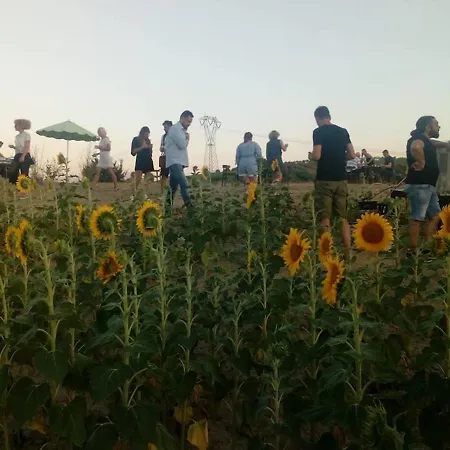 Gospodarstwo agroturystyczne Cignale Penne