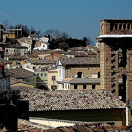 Cignale