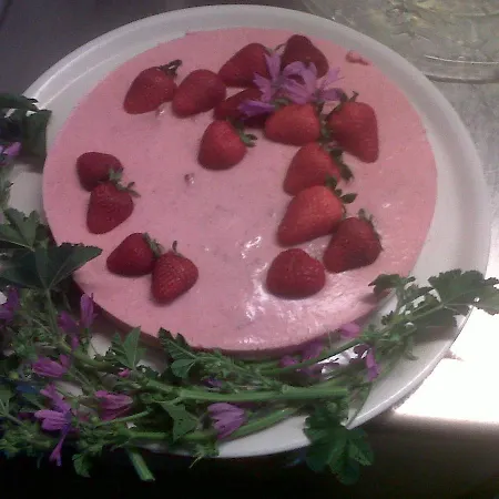 팜스테이 Cignale