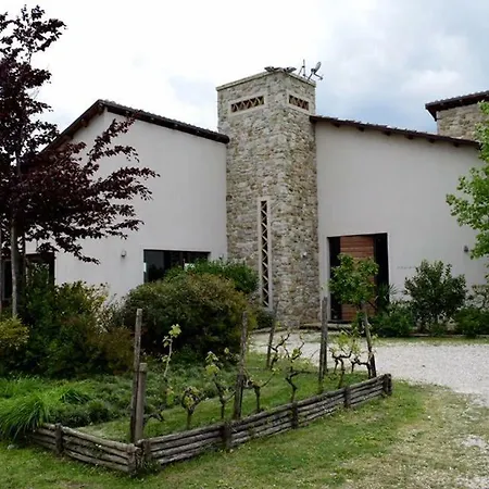 Cignale Della Societa Agricola Cignale Srl Penne