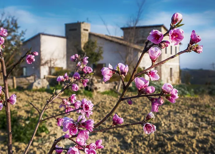 Cignale Della Societa Agricola Cignale Srl Penne