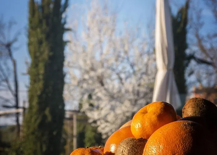 Cignale Farm stay Penne