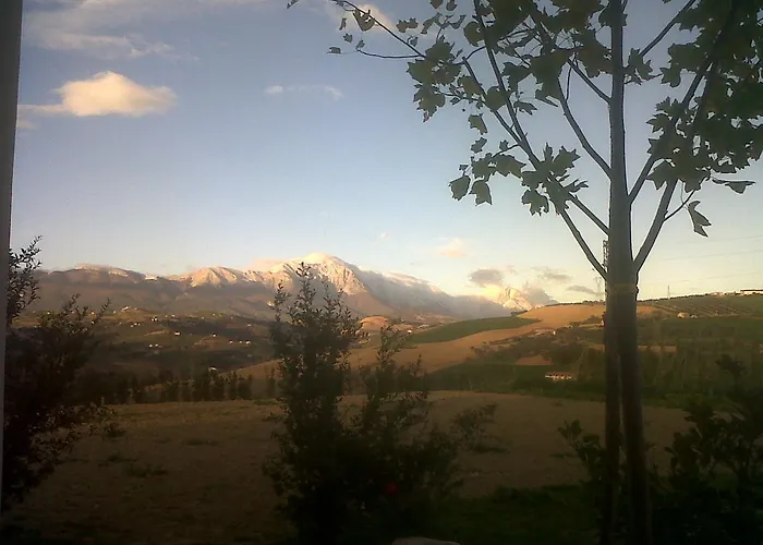 Cignale Della Societa Agricola Cignale Srl