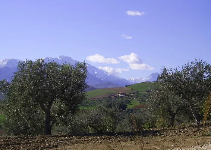 Cignale Della Societa Agricola Cignale Srl Penne