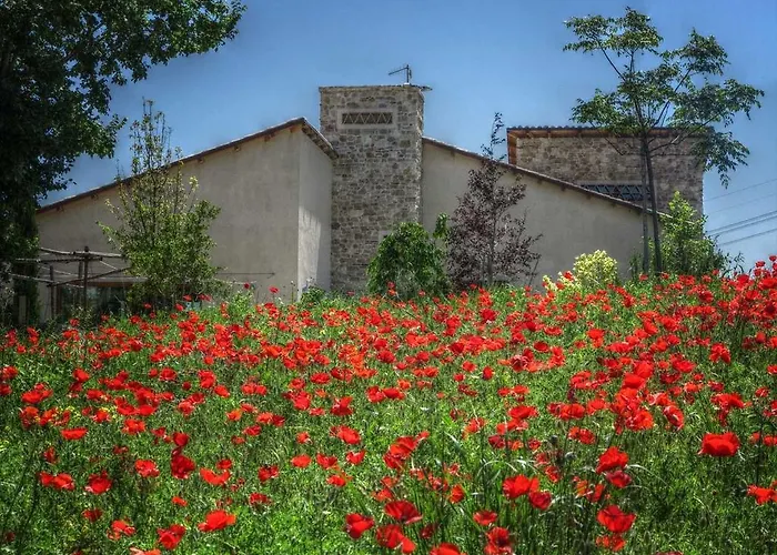 Çiftlik konaklama Cignale Della Societa Agricola Cignale Srl