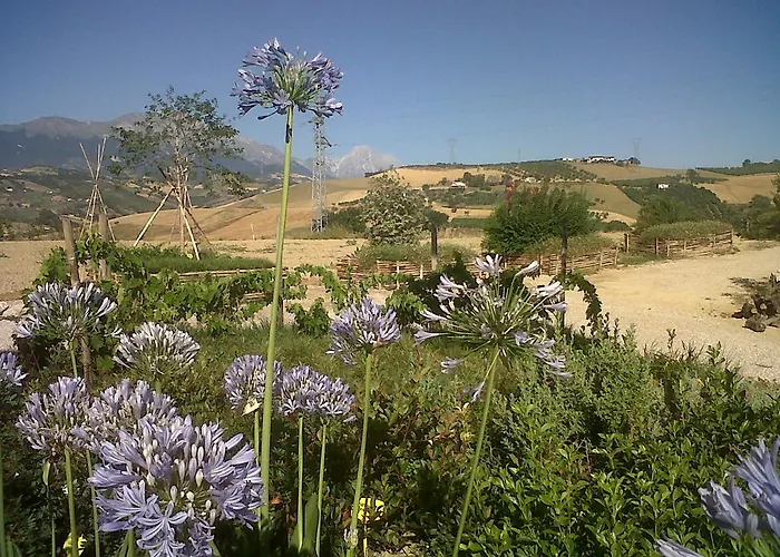 Farm stay Cignale Penne