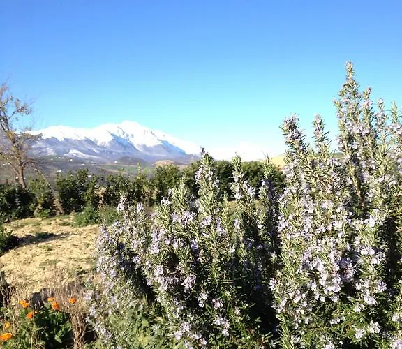 Cignale Della Societa Agricola Cignale Srl * Penne