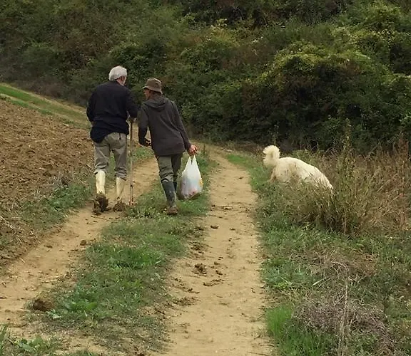 Çiftlik konaklama Cignale Della Societa Agricola Cignale Srl