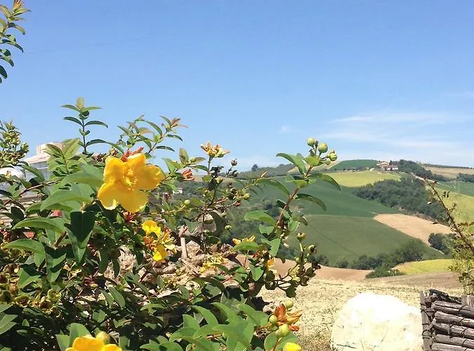 Cignale Della Societa Agricola Cignale Srl Çiftlik konaklama