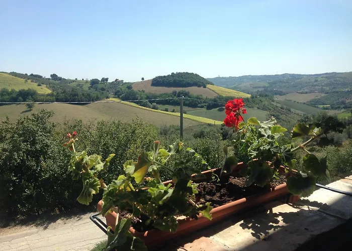Cignale Della Societa Agricola Cignale Srl * Penne