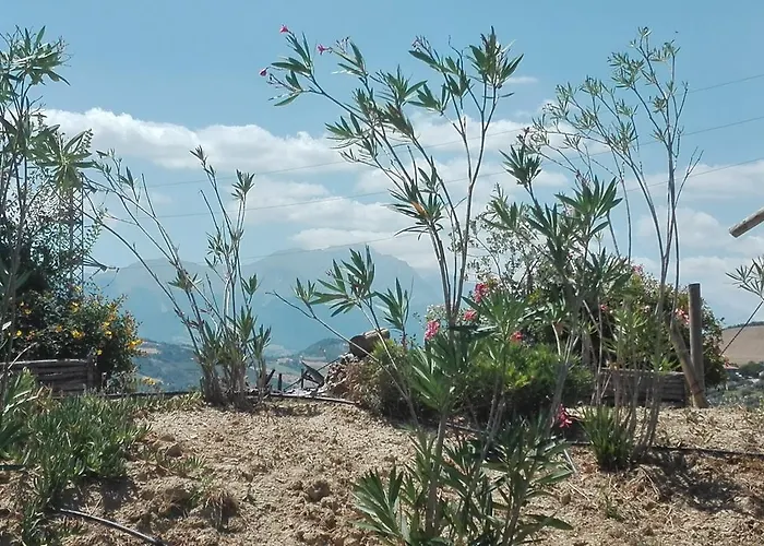 Cignale Della Societa Agricola Cignale Srl * Penne