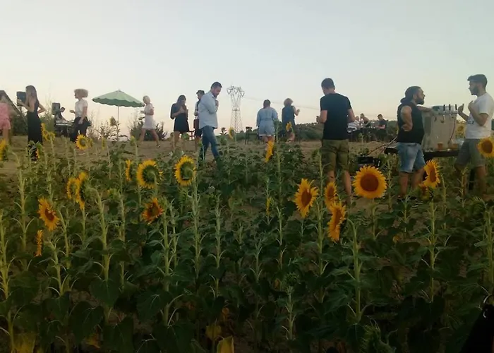 Farm stay Cignale Penne