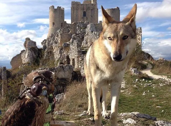 Cignale Della Societa Agricola Cignale Srl * Penne